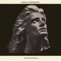 Acho inúteis as palavras