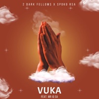 Vuka (feat. Mr IQ Sa) - Single - 2 Dark Fellows