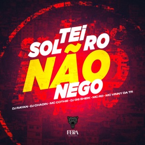 Solteiro Não Nego (feat. Dj Rayan, DJ GS SHEIK & MC RD OFICIAL)