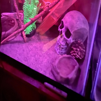 Feeling Low (Mixedbyjayde) - Single