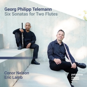 Sonata No. 4 in B Minor, TWV 40:104 (1726): IV. Allegro