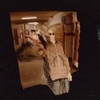 Carlo Collodi CARLO COLLODI (prod. Badholly) NOT STIRRED