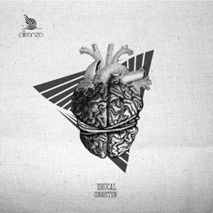 Connection - Single