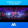 Te Kam Zemer - Single