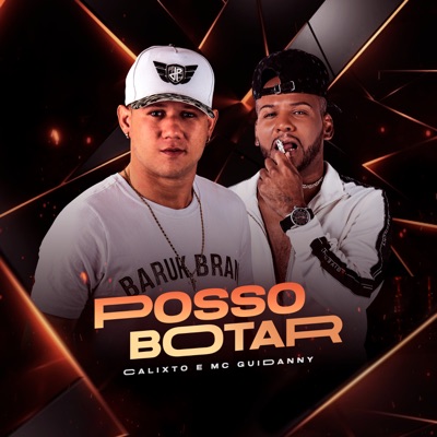 Posso Botar (feat. Mc Guidanny) - Single
