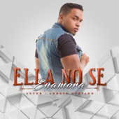 ella no se enamora artwork