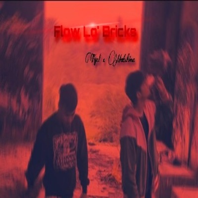 Flow Lo'Bricks (feat. Matchine) - Single