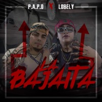 P.A.P.O X LOBELY RD LA BAJAITA - Single - Papo Mc