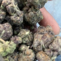 Spark up (feat. Spire) - Single - Members onlysmoove