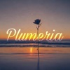 Plumeria - Single