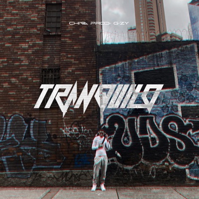 Tranquilo (feat. G-ZY) - Single