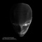The Future Is Intelligent (Daniel Portman Remix) - Passenger 10 lyrics