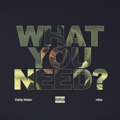 What You Need? - Single
