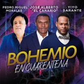 Bohemio en Cuarentena (Remix) artwork