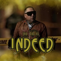 Indeed - Single - Jay Dallaz