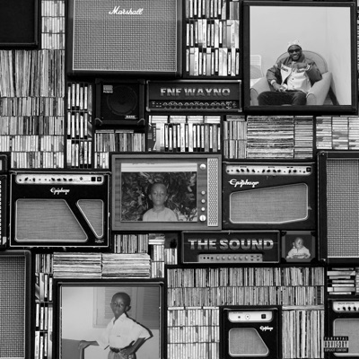 Adios (feat. EDY FNF) - Single