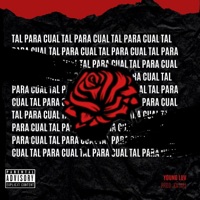 TAL PARA CUAL - Single - Young Luv