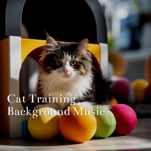 Cat Training Background Music