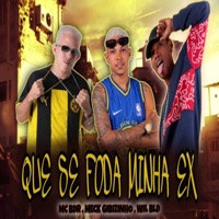 Que Se Foda Minha Ex - Single - MC BDR, Meck Gibizinho & Wil BLD