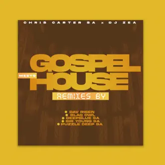 Gospel Meets House (Remixes) by ChrisCarter & DJ Zea album reviews, ratings, credits