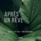 Après Un Rêve artwork