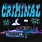 CRIMINAL - Ana Mena & Fred De Palma lyrics