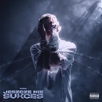 Jeszcze Nie Sukces - Single - Bobin