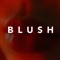 BLUSH (feat. 베이빌론) artwork