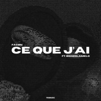 Ce que j'ai (feat. Benzolamelo) - Single - Fåçøn
