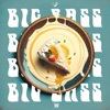 Big Bass - Single