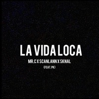 La vida loca (feat. Pk) - Single - Tomi musik