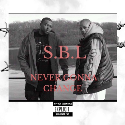 NEVER GONNA CHANGE (feat. YOUNG SAL & VOKAB SPARKS) - Single