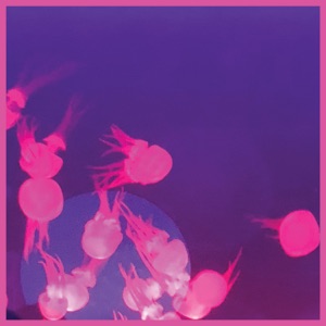 Moogie - Single