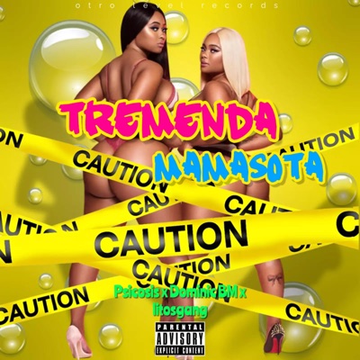 Tremenda mamasota (feat. Psicosis & Litos gang) - Single