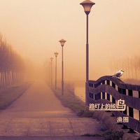 路灯上的候鸟 - Single - 漁圈