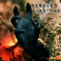 Damaged Like You — Carbonstone