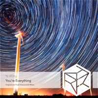You're Everything (Tsuki Shizumutoki Remix) - Single - N-sKing