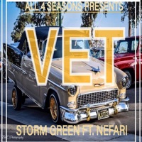 VET (feat. NEFARI) - Single - Storm Green