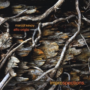 Improspections