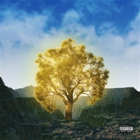 GOLD (feat. Rich Jones & Lo K) - Single - D.Graves