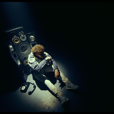 Flashing Lights - Single