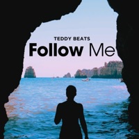 Follow Me - Single - Teddy Beats