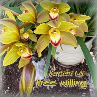 Free Willing - Single - Constant Lyt