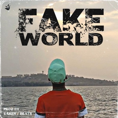 Fake World - Single