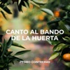 Canto al Bando de la Huerta - Single