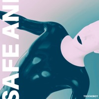 Safe and Sound (TECHNO) - Single - Martin Bravi & Tekknoboy