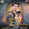 Roi Roi Hve Aa Mari Jindagi Javani (feat. ashok chauhan, Alpa Thakor & Sunil Zala) - Single