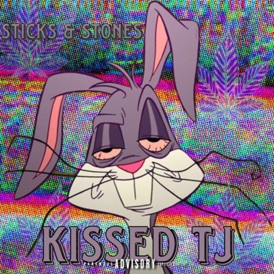 Sticks and Stones - Single