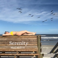Serenity - Single - Mad Mellow