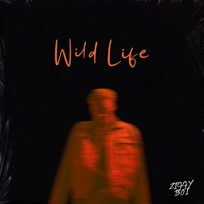 Wild Life - Single